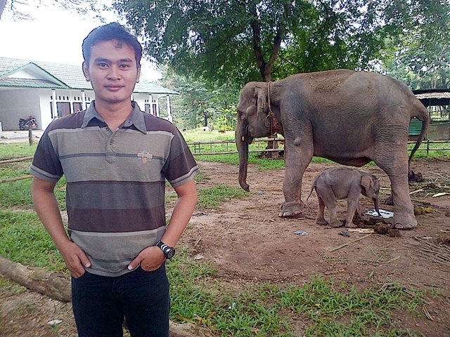 Dona Gajah Way Kambas Baru Melahirkan