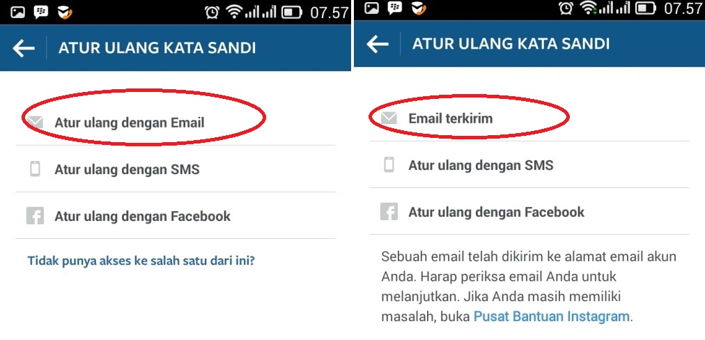 reset password va email instagram terbaru