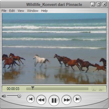 Play Video di QuickTime Player